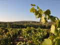 Character-beaujolais-cottage-self-catering-accomodation-Baviere-et-volcan (101)