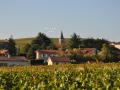 Character-beaujolais-cottage-self-catering-accomodation-Baviere-et-volcan (106)
