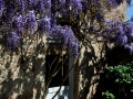 Baviere-et-Volcan-Gite-Chambre-Hote-Charme-4-etoiles-La-tour-Beaujolaise (003)