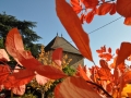 Baviere-volcan-Beaujolais-character-holiday-cottage-Tower-Bed-and-Breaksfast-charme-tour-4-stars ( (119)