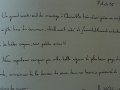 Avis-Bavière-et-volcan-en-Beaujolais-gîte-de-caractère-chambre-hôtes-charme (239)