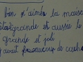 Avis-Bavière-et-volcan-en-Beaujolais-gîte-de-caractère-chambre-hôtes-charme (256)